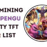 Pengu Party TFT Tier List