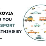 Rena Monrovia When You Transport Something by Car …