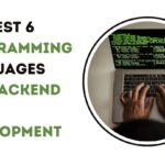 Programming Languages for Backend Web Development