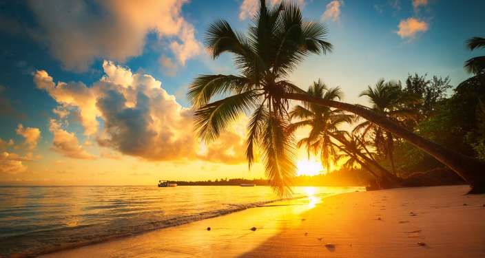 Tropical Island
